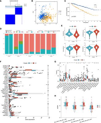 Leveraging diverse cell-death related signature predicts the prognosis and immunotherapy response in renal clear cell carcinoma